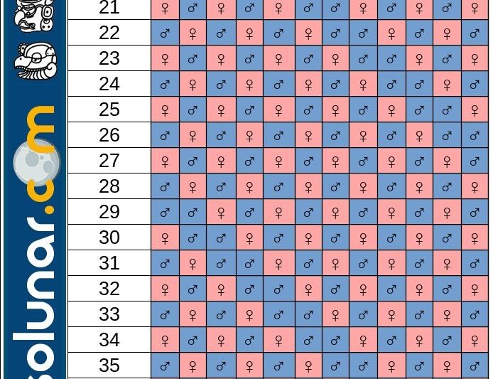 Calendario Maya 2025 Embarazo