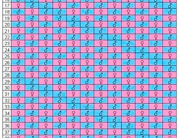 Mayan Calendar Baby Gender 2025 Pdf